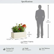 75cm Zinc Galvanised Ivory Trough Planter